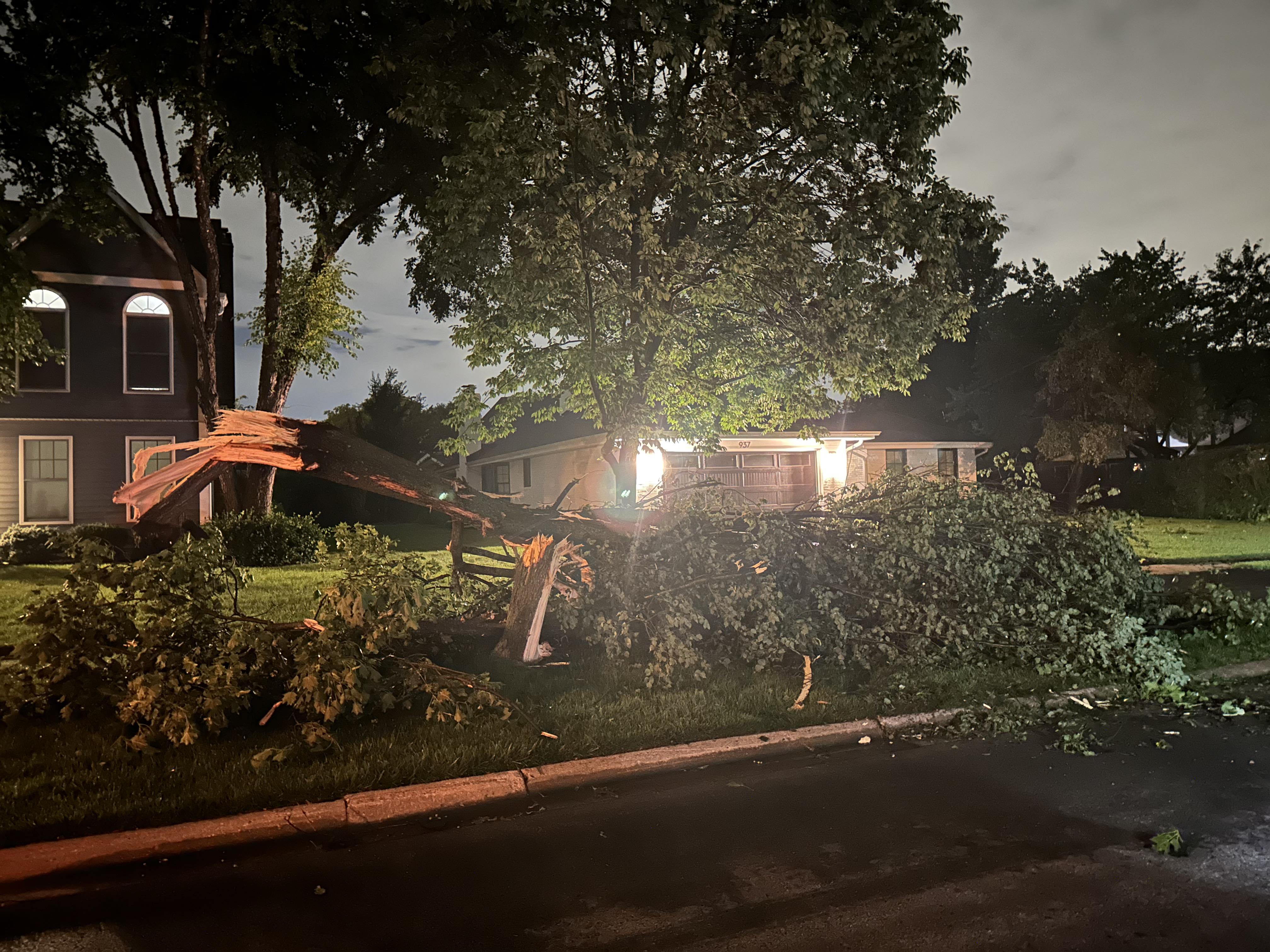 July 14, 2023 Storms Produce Damaging Winds Across Northern Illinois